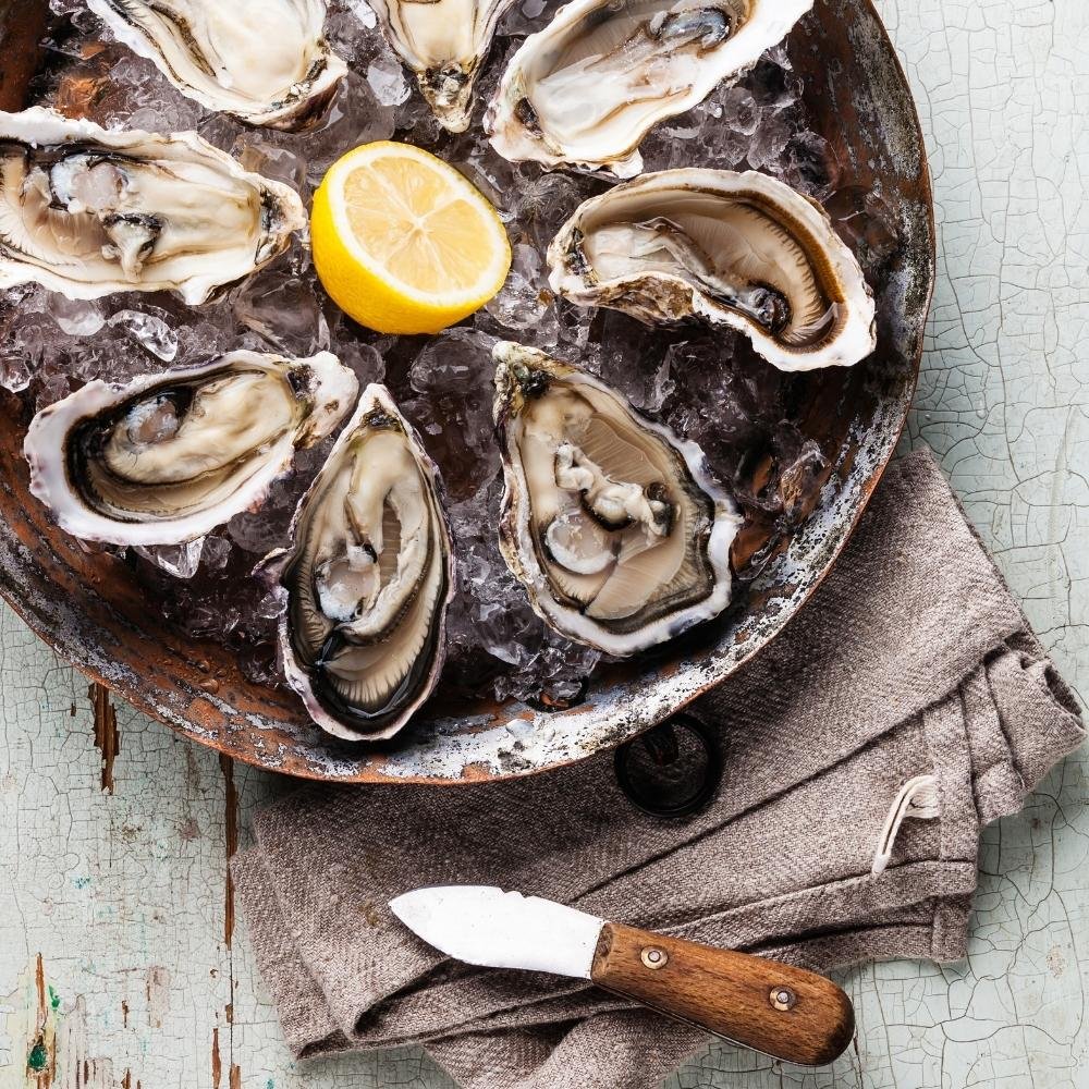 12 Oysters | Large
