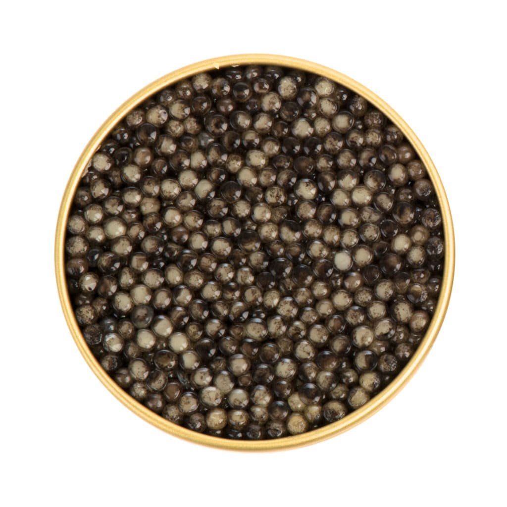 Russian Sturgeon | Caviar | Aquatir | 50g