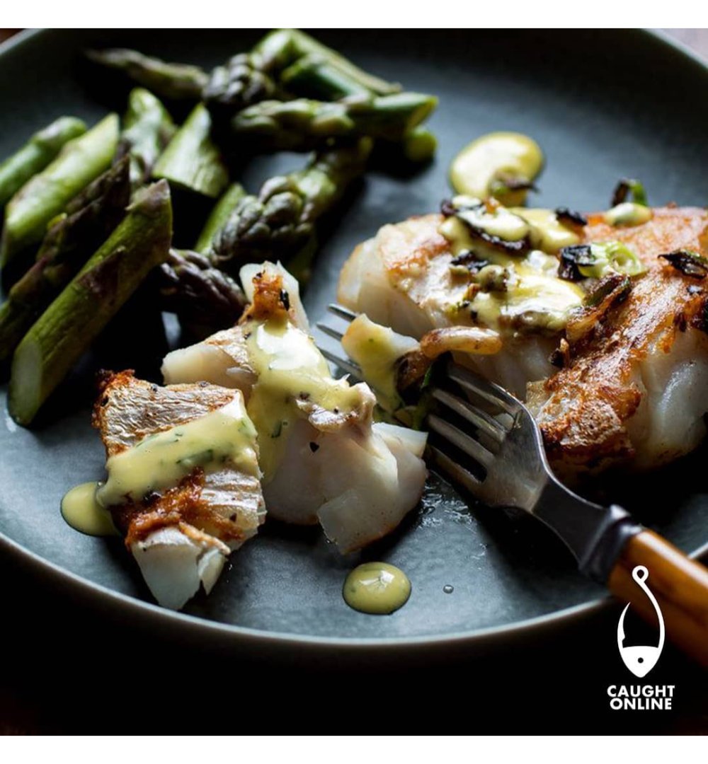 Hake Fillets | Skin-On | 1kg Pack