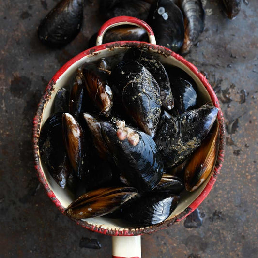 Fresh Mussels | 5Kg Box
