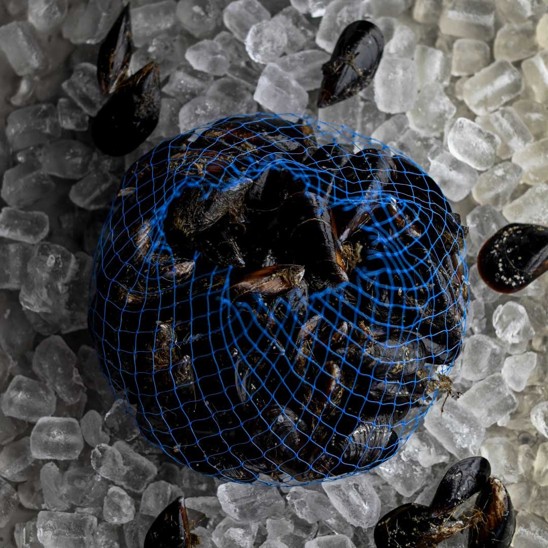 Fresh Mussels | 5Kg Box