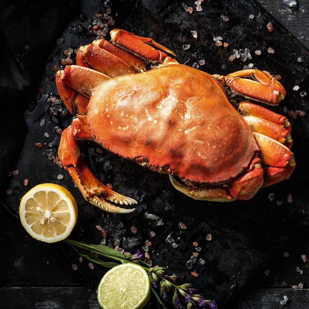 Orange Namibian Crab | Wild-caught