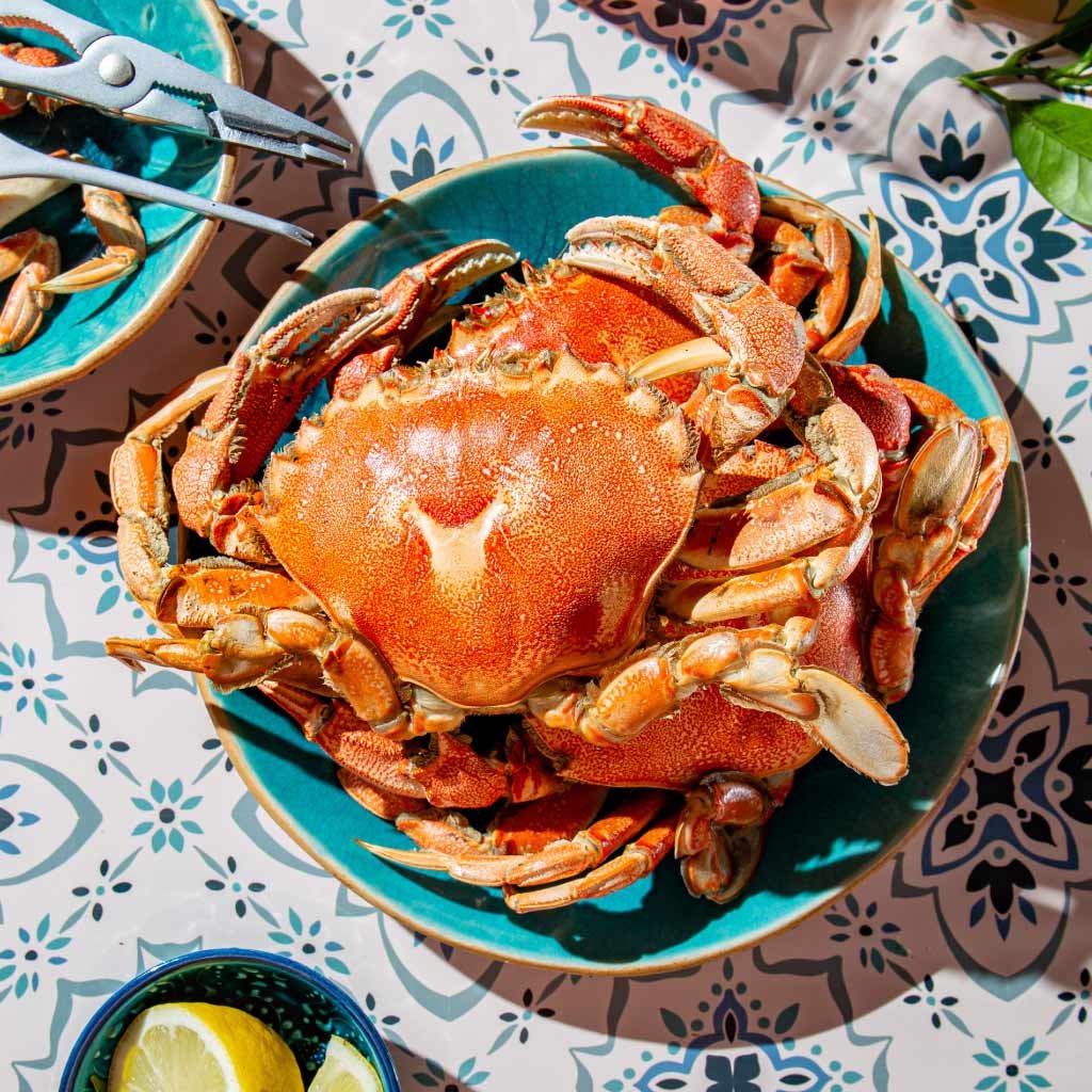 Orange Namibian Crab | Wild-caught