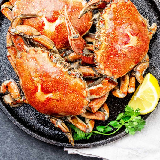 Orange Namibian Crab | Wild-caught