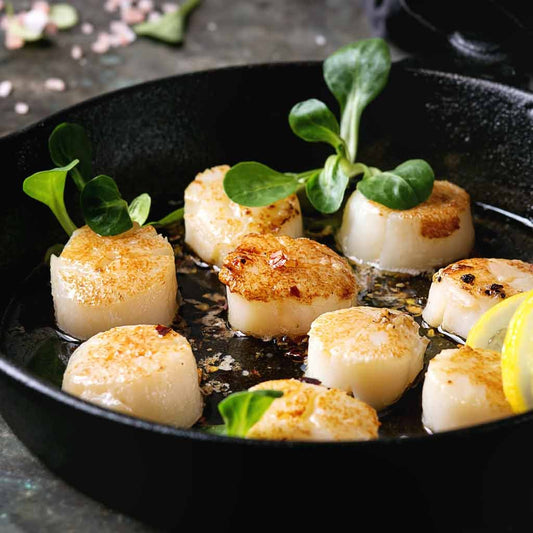 Scallops | Alaskan Hand Dove | Wild-caught | 350g