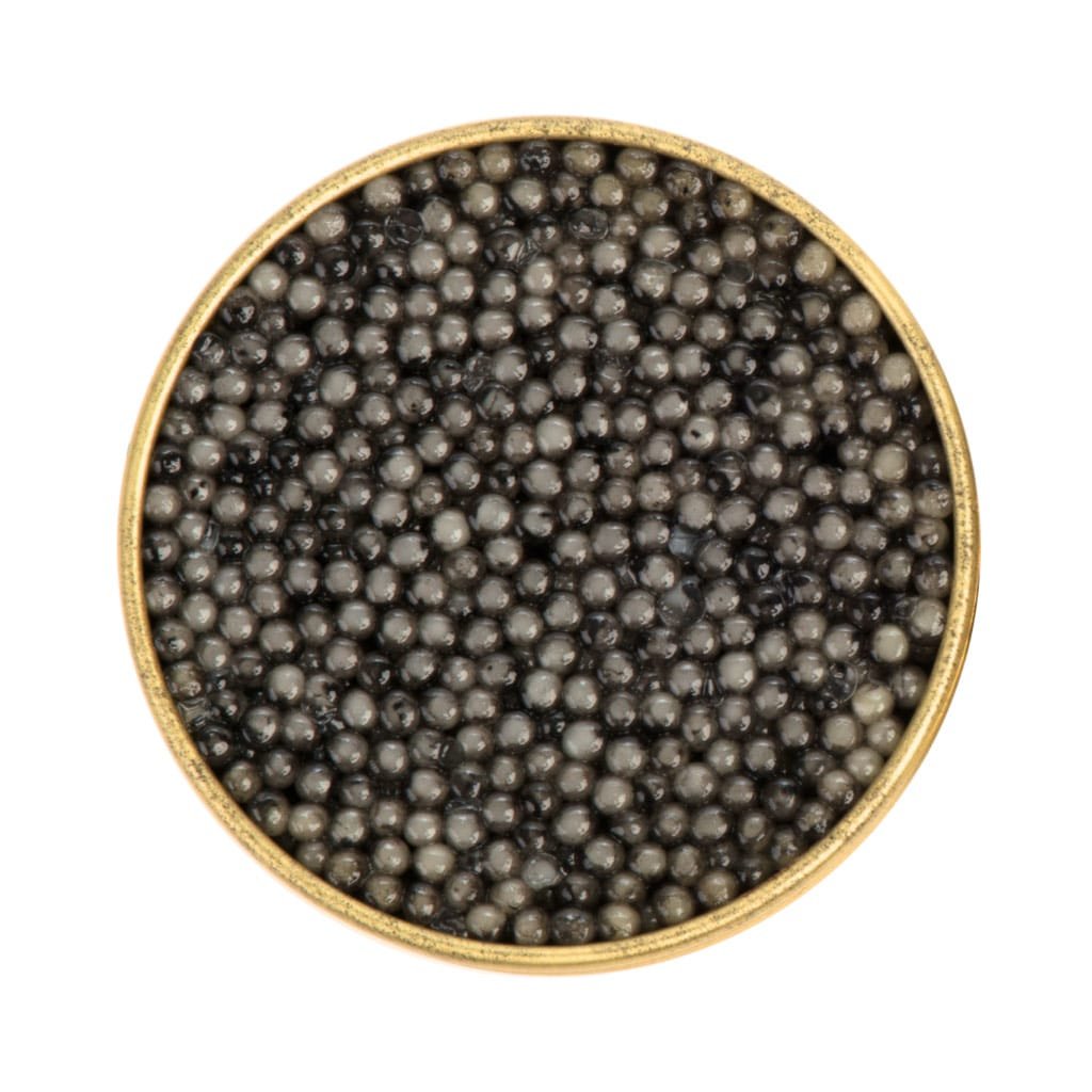 Beluga | Caviar | Aquatir | 50g