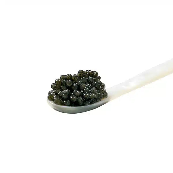 Beluga | Cru Caviar | 15g