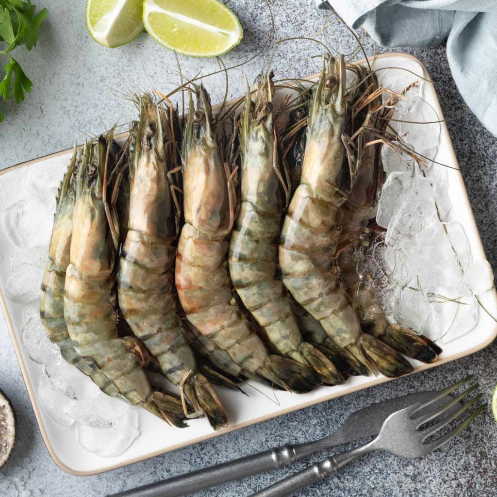Black Tiger Prawns | Mozambican | Extra Large | 800g