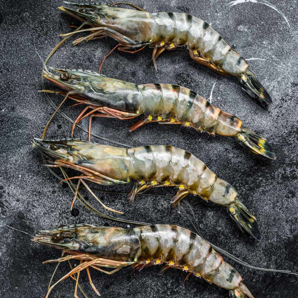 Black Tiger Prawns | Extra Large | 800g