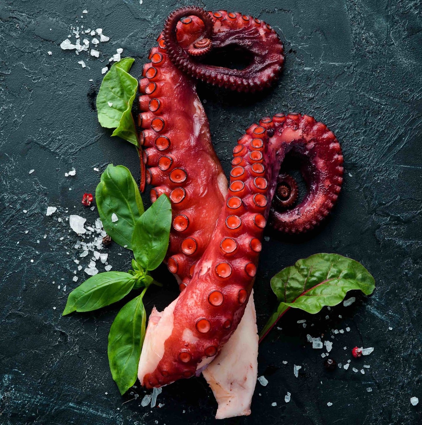 Octopus Legs | 1Kg
