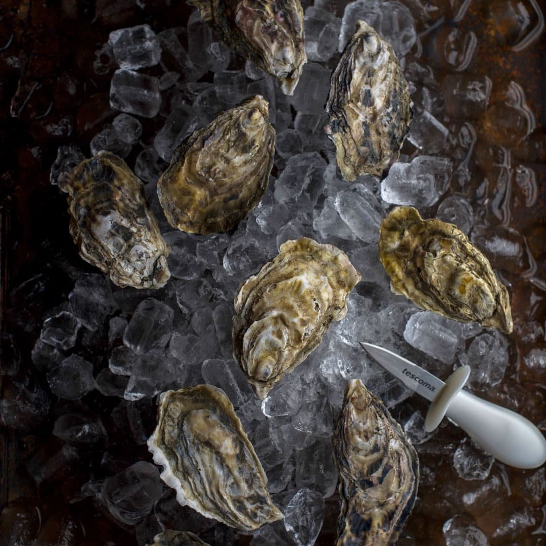 Fresh Large Oysters | 50 Unshucked