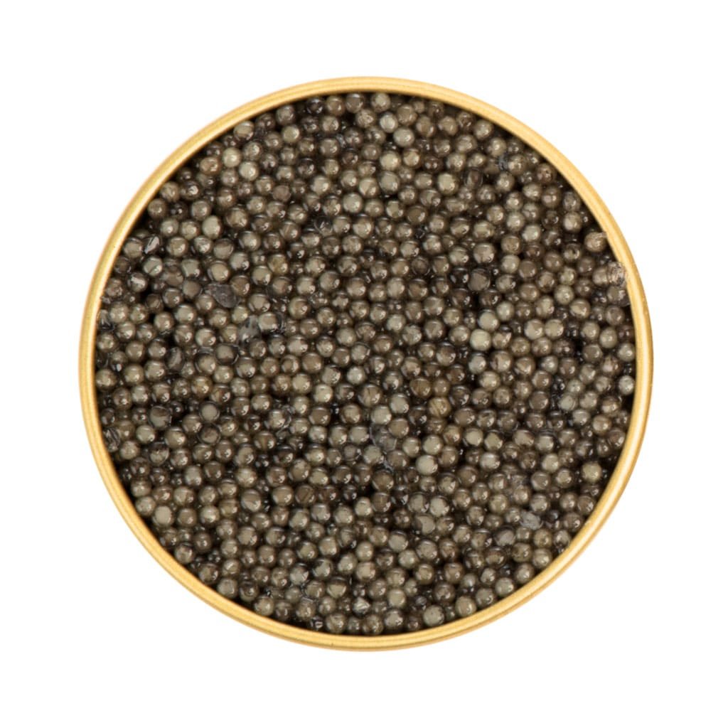 Sterlet | Caviar | Aquatir | 50g