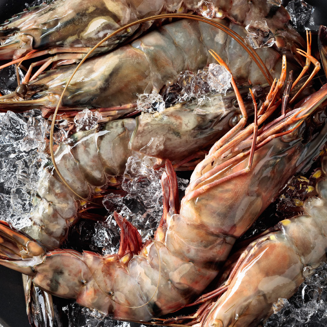 Black Tiger Prawns | Wild-caught | Large | 800g